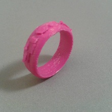 fascino dell'anello gioielli anello 3d print model - Mito3D