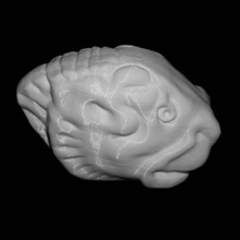 plaque shape tiger's head british museum london scan 3d print model - Mito3D