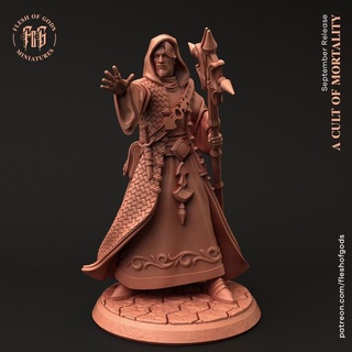 sorcerer flesh gods Toys & Games Tabletop Characters Creatures Fantasy Universe Board Store human magician wizard magic male staff mage dnd scepter pathfinder spellcaster 5e fleshofgods 3d print model - Mito3D