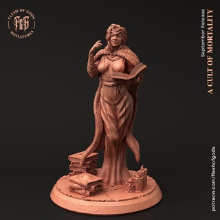 liss wizard flesh gods Tabletop Characters & Creatures Fantasy Universe Board Games Store female human magician rpg mage dnd pathfinder sorcerer spellcaster 5e fleshofgods 3d print model - Mito3D
