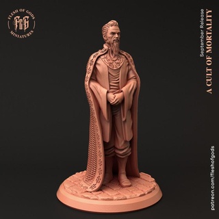 counsellor - npc flesh gods Tabletop Characters & Creatures Fantasy Universe Board Games Store fantasy knight man rpg male noble bearded dnd pathfinder rich 5e fleshofgods 3d print model - Mito3D