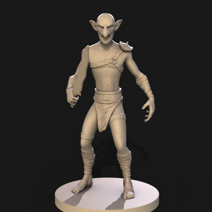 goblin warrior warehouseworkshop creature wargaming warhammer tabletop dnd pathfinder 3D print model - Mito3D