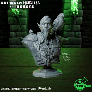 nachin altan bust tpk lab Tabletop Characters & Creatures Store barbarian dragons dungeons eagle elf falcon fighter rpg warrior miniature tabletop ranger d&d asian ttrpg mongolian 3d print model - Mito3D
