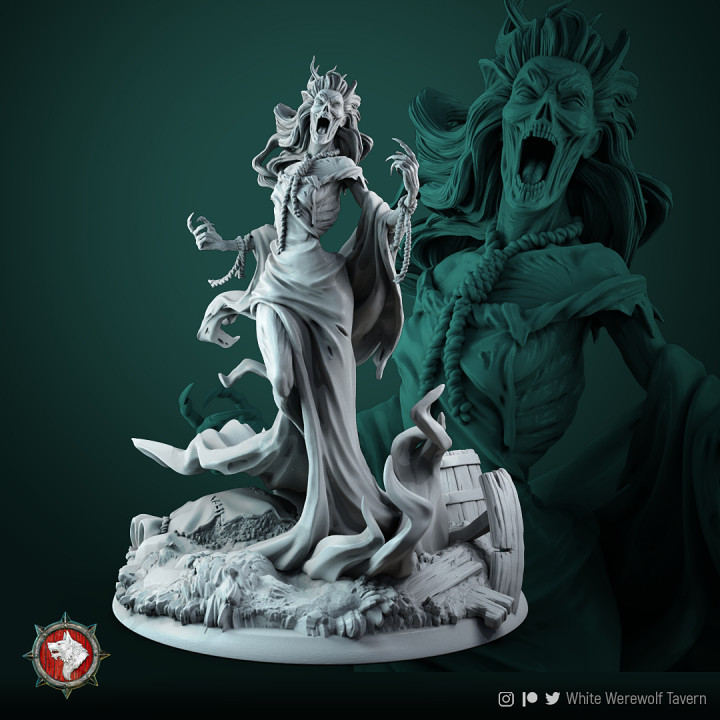 banshee 75mm 32mm pre supported blanc loup garou taverne table personnages créatures planche Jeux créature fantôme monstre marteau guerre jeu plateau dnd dndmonster dndcréature 3D print model - Mito3D