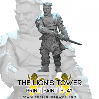mercenary company - sal 32mm scale presupported miniature lion's tower adventurers guild Tabletop Characters & Creatures fantasy fighter human rpg warhammer dungeonsanddragons dnd pathfinder frostgrave dandd cityguard icewinddale citywatch shadowdeep flamingfist splintmail blackcompany 3d print model - Mito3D