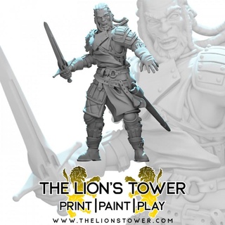 mercenary company - falk 32mm scale unsupported lion's tower adventurers guild Tabletop Characters & Creatures fantasy fighter human rpg warhammer miniature dungeonsanddragons dnd pathfinder dandd cityguard icewinddale citywatch shadowdeep flamingfist splintmail blackcompany 3d print model - Mito3D