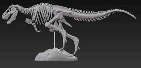 tristan otto bjd osso dino dinossauro esqueleto t rex articulada trex móveis 3d print model - Mito3D