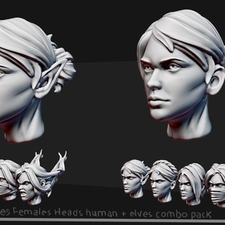 alternatives 28mm females heads pack human + elves ketaminies Education Art Tabletop accessories army dragons games head miniatures replacement warhammer tabletop dungeon dnd customize alternative drow bitz 3d print model - Mito3D