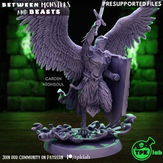 cardin highsoul tpk lab Tabletop Characters & Creatures Store bird dragons dungeons fighter rpg miniature male tabletop paladin d&d 32mm aarakocra ttrpg presupported birdfolk 3d print model - Mito3D
