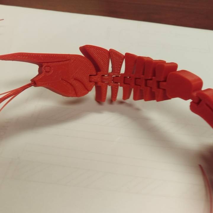 flexi camarón deportes aire libre pesca articulados supportfree articulado cangrejo camarones crustáceo marismas cangrejos río 3D print model - Mito3D