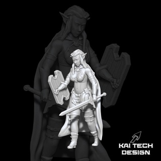 elf fighter davor kajtar Tabletop Characters & Creatures Fantasy Universe figurine mini shield sword tabletop dnd 3d print model - Mito3D