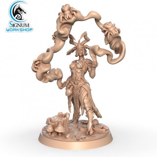 cray-ar-din witch cursed forest signum workshop Tabletop Characters & Creatures Fantasy Universe dungeons elf fantasy miniatures woman tabletop spirit shaman ttrpg presupported akkari 3d print model - Mito3D