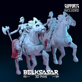 viking rider variants belksasar 3dprint Tabletop Characters & Creatures armor axe barbarian beautiful board detailed fantasy female girl realistic shield woman horse boardgames dnd leather chivalry fell 3d print model - Mito3D