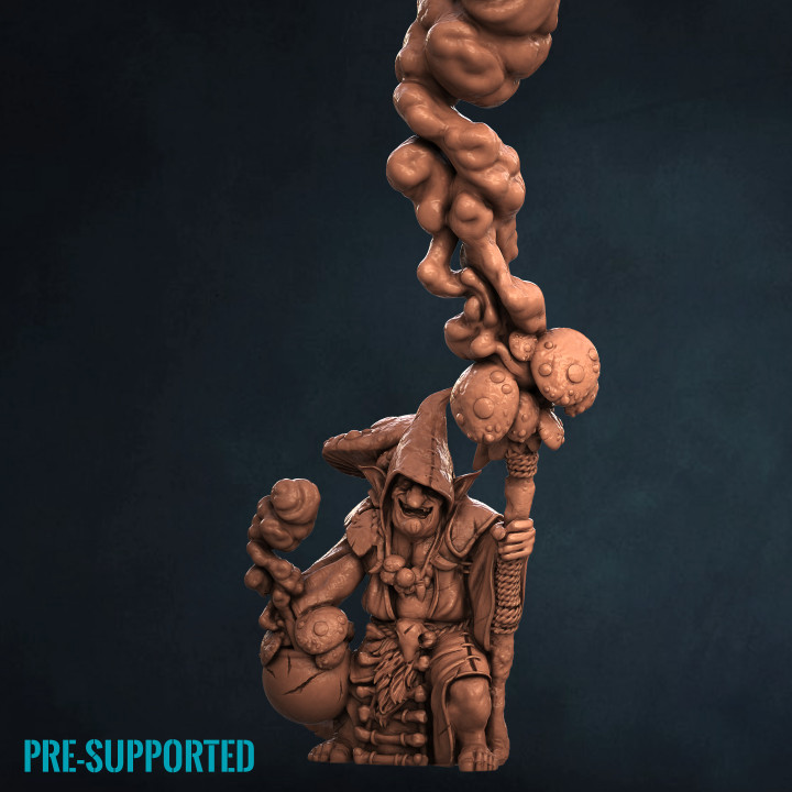 duende chamán impresión minis Tienda guerrero magia alquimista arácnido penumbra gitz mollog puñaladas troggoph tripa roca jefe trogg 3D print model - Mito3D
