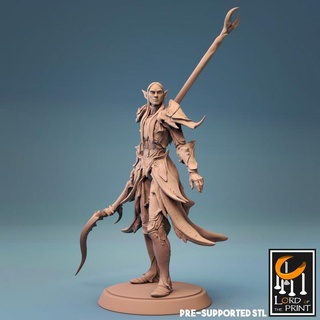 elf warrior spear challenge lord print Tabletop Characters & Creatures Store insect 3d print model - Mito3D
