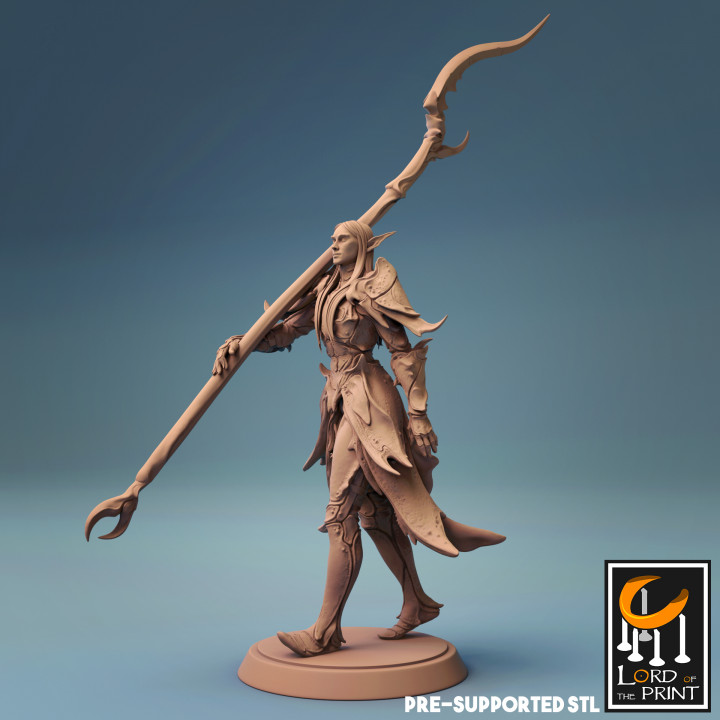 elfo guerriero marzo signore Stampa tavolo personaggi creature negozio insetto 3D print model - Mito3D