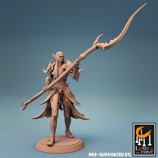 elf savaşçı mızrak hazır Kral Yazdır masaüstü karakterler yaratıklar mağaza böcek 3d print model - Mito3D