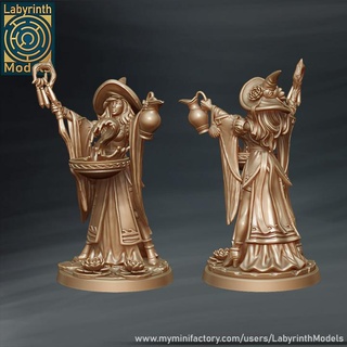 water witch - 32mm scale labyrinth models Tabletop Characters & Creatures dungeons fantasy halloween hero lady rpg wargaming character magic miniature boardgame tabletop wargame patreon d&d sorceress 3d print model - Mito3D