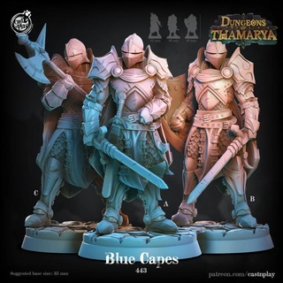 blue capes knights pre-supported cast n play Tabletop Characters & Creatures dungeons fantasy knight guards castnplay presupported thamarya 3d print model - Mito3D