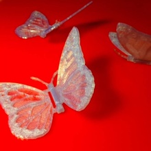 hinged butterfly toys & games 3d print model - Mito3D