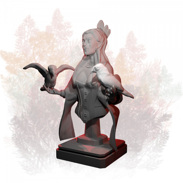 brujas pobre busto Rey arroyo diseño mesa caracteres criaturas Tienda cuervo oscuro mujer bruja mago místico dominatrices 3D print model - Mito3D