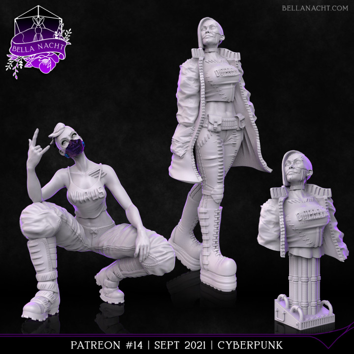 Belohnung Pack 14 Cyberpunk Bella nacht Minis Tischplatte Zeichen Kreaturen Sci Fi Universum Büste weiblich Metall Punk Wissenschaft Frau scifi Fiktion Goth Virus Rocker Cyber 2077 Ausbruch emo 3D print model - Mito3D