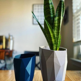 low poly planter bradley shaw Home & Garden Homeware Vases, pots and planters vase lowpoly plants decor 3d print model - Mito3D