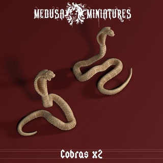 cult cobra - cobras x2 medusa miniatures Tabletop Characters & Creatures Fantasy Universe animal dragons dungeons monster realistic snake dnd pathfiner 3d print model - Mito3D