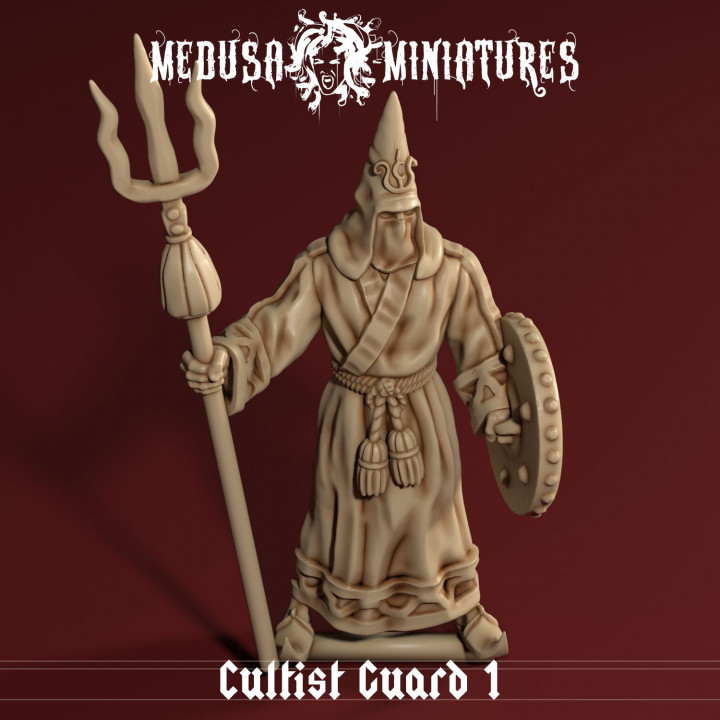 cult cobra - cultist guard 1 medusa miniatures Tabletop Characters & Creatures Fantasy Universe dragons dungeons mini old school snake tabletop cthulhu 28mm pathfinder 32mm 3D print model - Mito3D