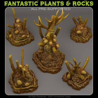 bruja adornos fantástico plantas rocas Tienda mesa 3D imprimible terreno fantasía emmanuel tribu Déjalo soportado 3d print model - Mito3D