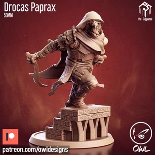 dragonborn rogue owl Tabletop Characters & Creatures Fantasy Universe Store dragon boardgame tabletop dnd 3d print model - Mito3D