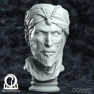 bhram scholar presupported ogareg miniatures Tabletop Characters & Creatures Fantasy Universe Store Fan Art Busts bust display fantasy jewel roleplay arabic ledgend boardgame tabletop dnd merchant sultan turban 3d print model - Mito3D