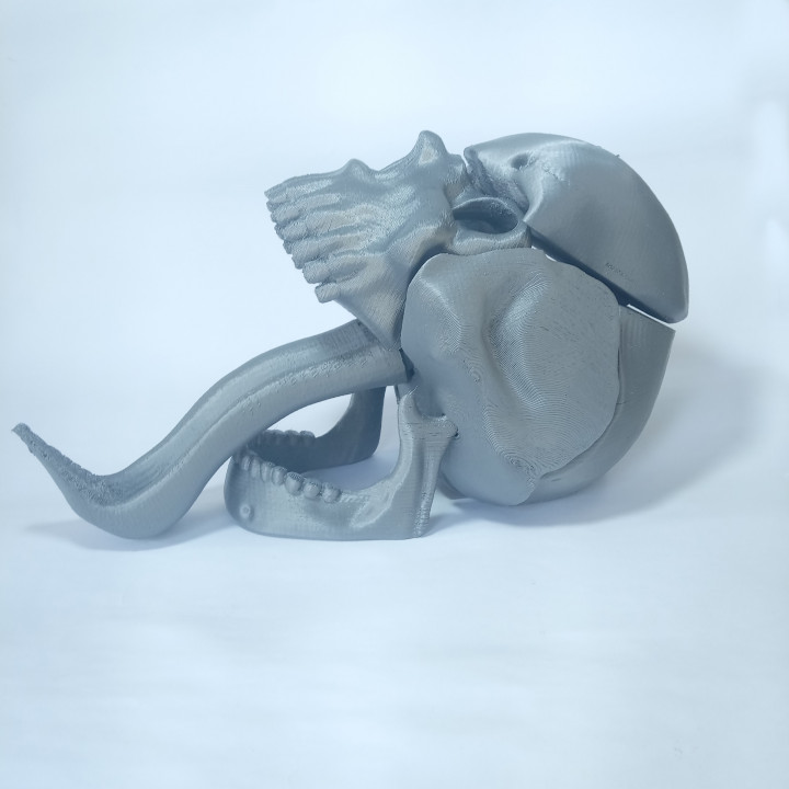 cranio dado Torre Renan costa tavolo Accessori rpg 3D print model - Mito3D