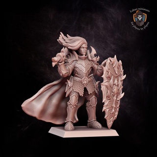 dread prince lubart miniatures Tabletop Characters & Creatures Fantasy Universe characters fantasy warhammer sla age wargame 9th warhammerfantasy whfb theninthage ninthage ninth dreadelves darkelfs darkelves t9a lubartminiatures 3d print model - Mito3D