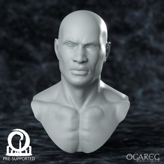 male academic bust presupported ogareg miniatures  Fan Art Busts bust display roleplay painting male tabletop anatomical dnd buff bald academic  3d print model - Mito3D