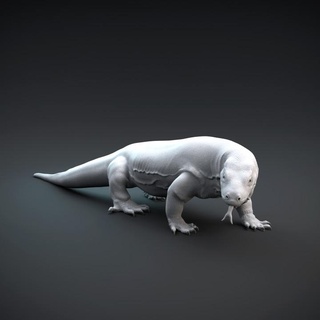 Komodo ejderhaları Ejderha dino köpek oyuncaklar oyunlar hayvan yaratık rakamlar mağaza yazdırılabilir Sanat şekil kertenkele monitör sürüngen heykel minyatür heykeller varan varanus 3d print model - Mito3D