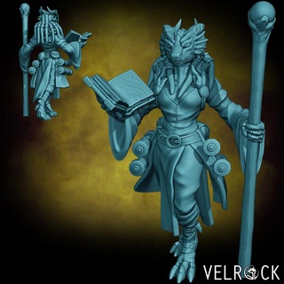 female dragonfolk sage presupported velrock art miniatures Tabletop Characters & Creatures Fantasy Universe dragon fantasy rpg wizard dragonborn d&d dnd 3d print model - Mito3D