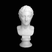 testa giovanile museo dell'ermitage san pietroburgo scansione 3d print model - Mito3D