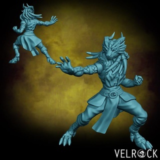 femelle dragonfolk bagarreur présupporté velrock art miniatures table personnages créatures fantaisie univers boutique dragon moine rpg dragonborn dnd 3d print model - Mito3D