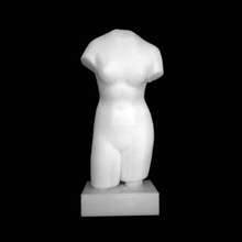 gövde Afrodit hermitage Müzesi st petersburg tarama 3d print model - Mito3D