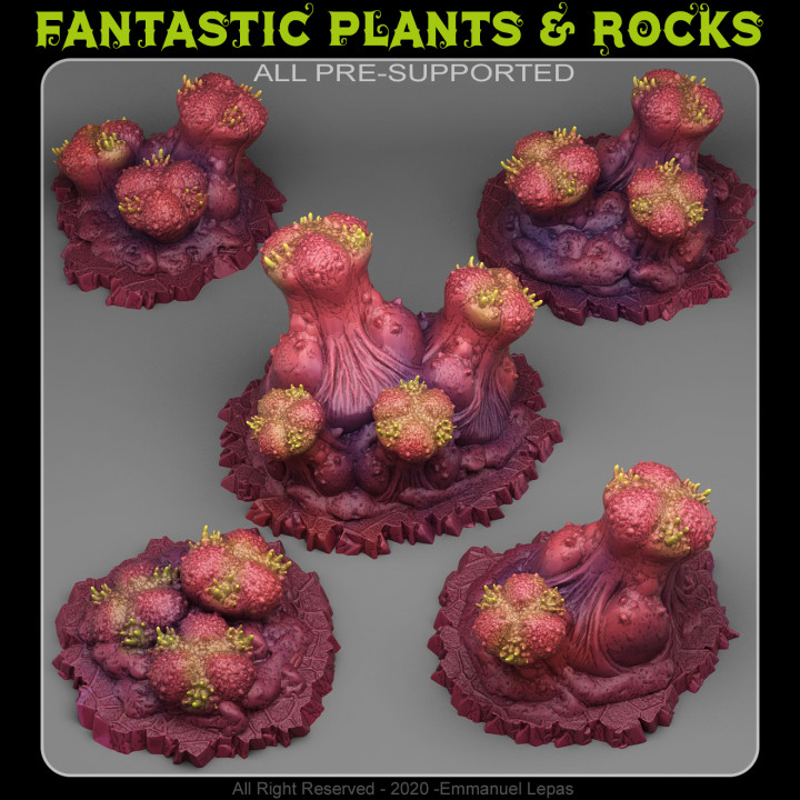 organico funghi fantastico impianti rocce negozio tavolo 3D stampabile terreno fantasia emmanuel tribù Lascia andare supportato 3D print model - Mito3D