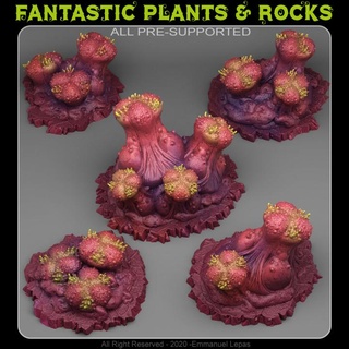 organik mantarlar fantastik bitkiler kayalar mağaza masaüstü 3D yazdırılabilir arazi fantezi Emmanuel kabile Bırak destekli 3d print model - Mito3D