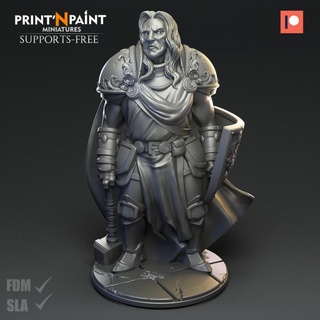 paladin rose leonardo escovar Tabletop Characters & Creatures Fantasy Universe Store dragons dungeons hero human knight model soldier warhammer painting miniature supportless wow age arthas throne empire dnd sigmar printnpaint 3d print model - Mito3D