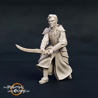 ellidon - elven twin presupported printing goes ever Tabletop Characters & Creatures Fantasy Universe Store armor elf fantasy fighter mini sword wargaming warhammer warrior miniature lotr tabletop brother 28mm dnd glaive frostgrave skirmish twins fey swordsman 5e pre-supported fay statblock 3d print model - Mito3D