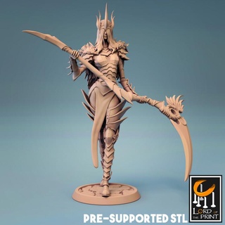 death cultist lord print Tabletop Characters & Creatures Fantasy Universe fighter woman 3d print model - Mito3D