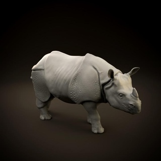 indiano rinoceronte dino cane giocattoli Giochi animale creatura figure negozio stampabile arte figura mini realistico scultura statua compagno miniatura sculture mammifero asiatico dnd blindato 3d print model - Mito3D