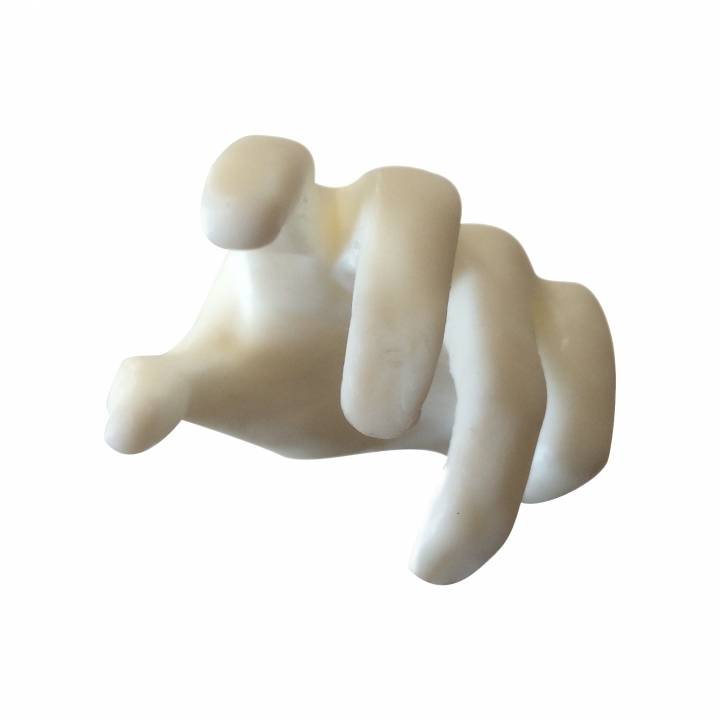 hand education 3D print model - Mito3D