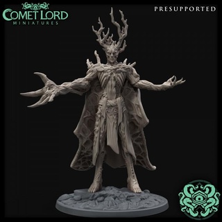 blightking comet lord miniatures Tabletop Characters & Creatures Fantasy Universe Store autumn dragons dungeons evil fall dnd fey myconid dryad decay dnd5e rot archfey 3d print model - Mito3D