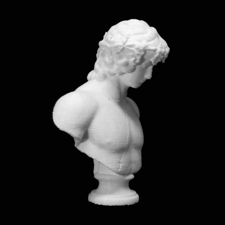 portrait antinoüs musée l'ermitage saint pétersbourg numérisation 3D print model - Mito3D