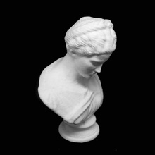 head artemis hermitage museum st petersburg scan 3d print model - Mito3D